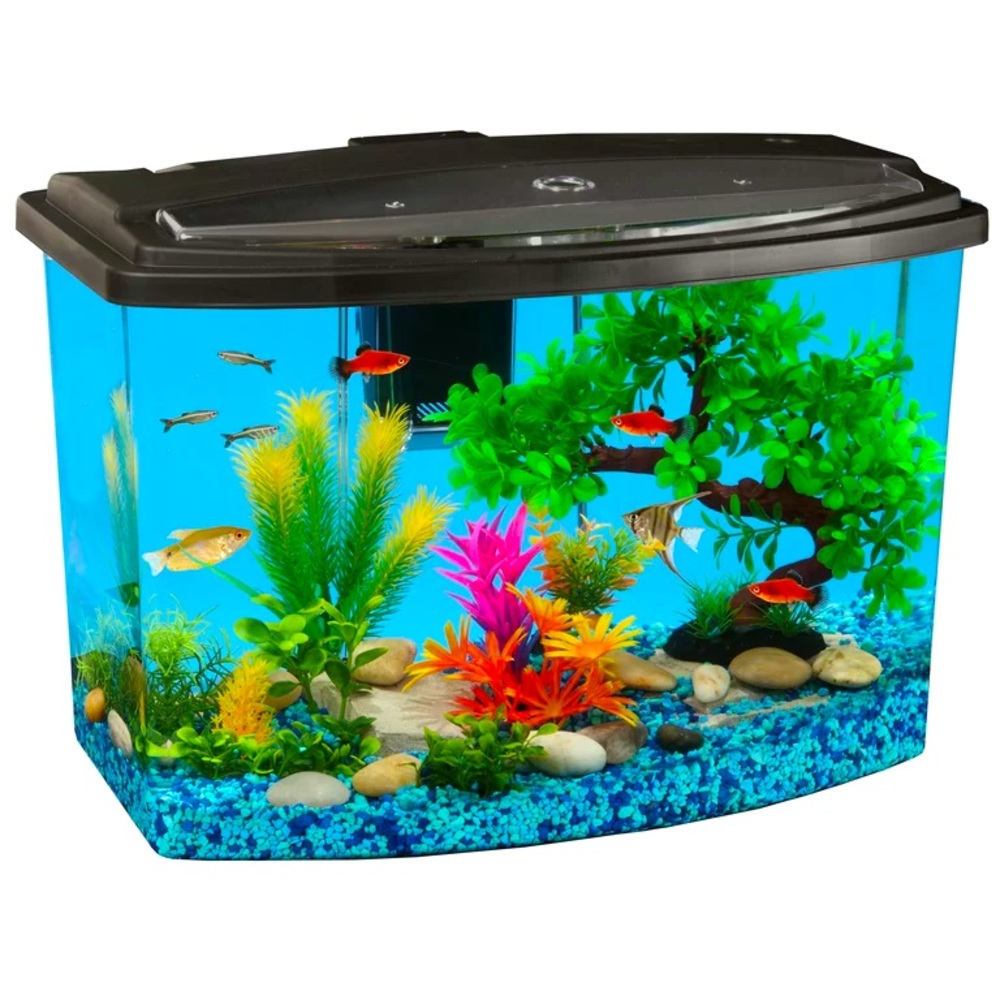 Blue aquarium gravel 5lb